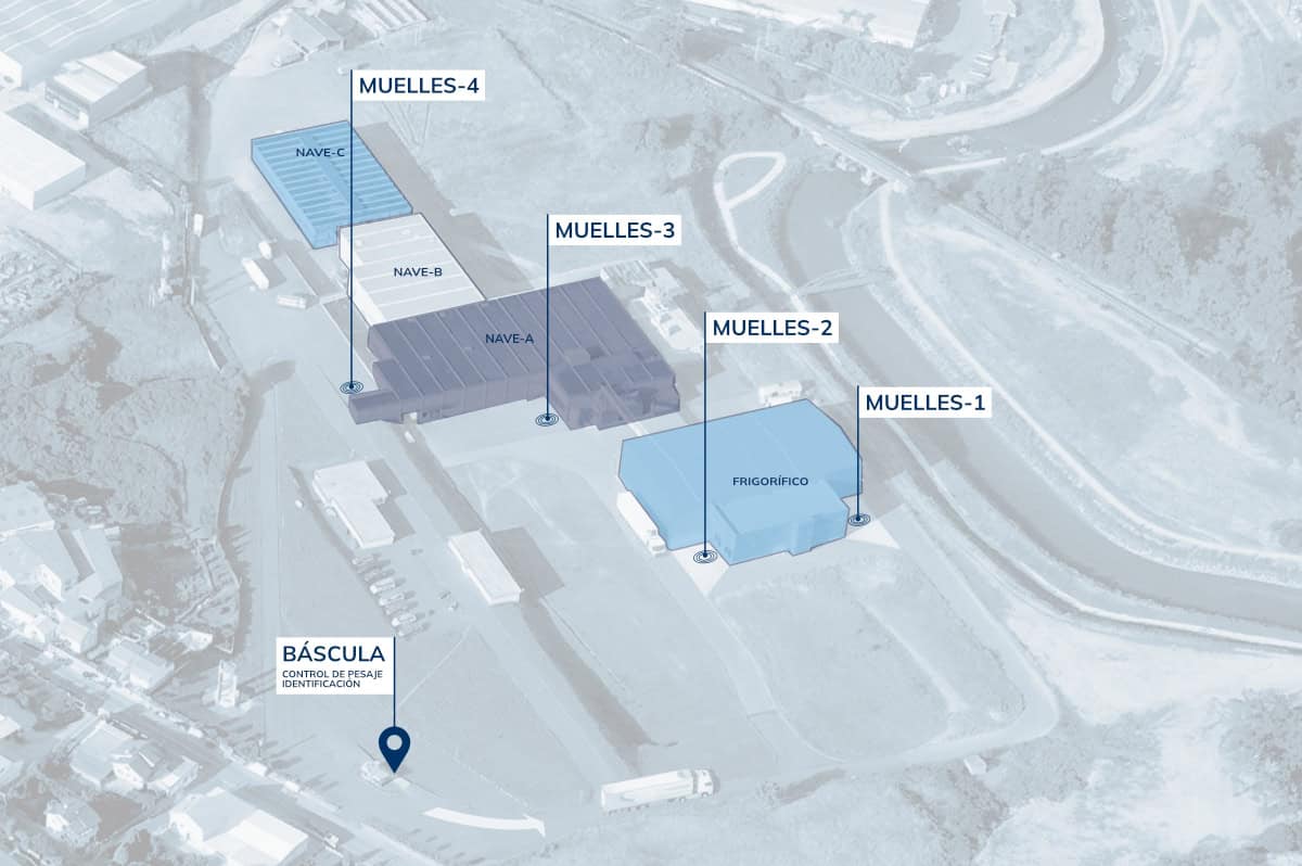 Plano aéreo del recinto FRICOSA — báscula de entrada, naves A/B/C, frigorífico principal, muelles 1 a 4 y parking de camiones